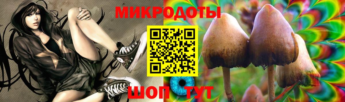 Псилоцибиновые грибы Cubensis Прокопьевск