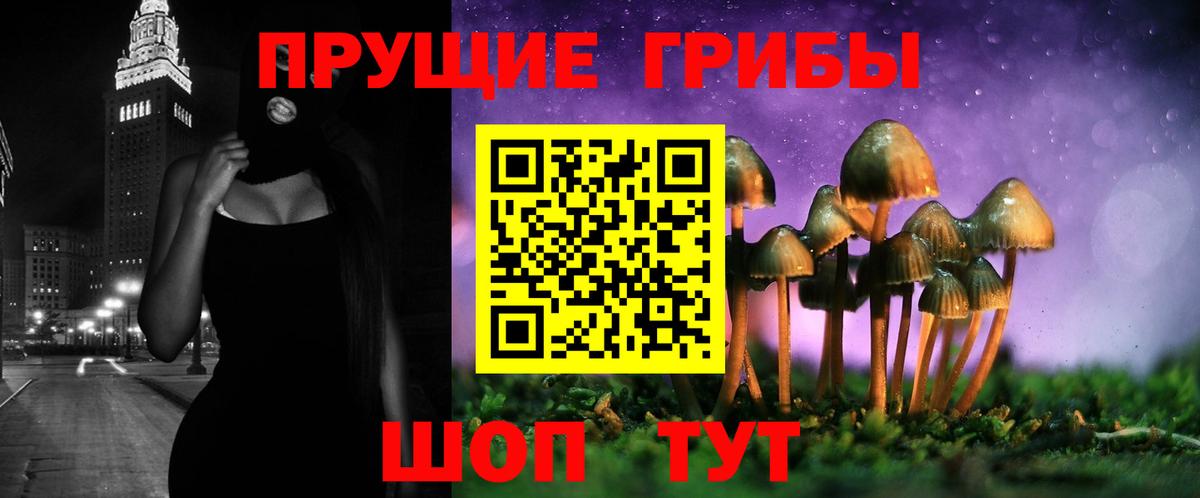 Прокопьевск  Галлюциногенные грибы прущие грибы  Вход с VPN  Псилоцибиновые грибы мухоморы 